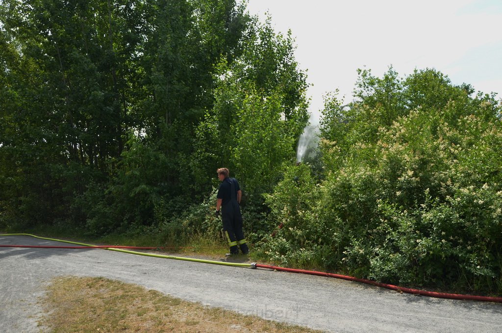 Bodenfeuer Koeln Porz Westhovener Auen P16.JPG - Miklos Laubert